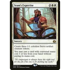 Sram's Expertise