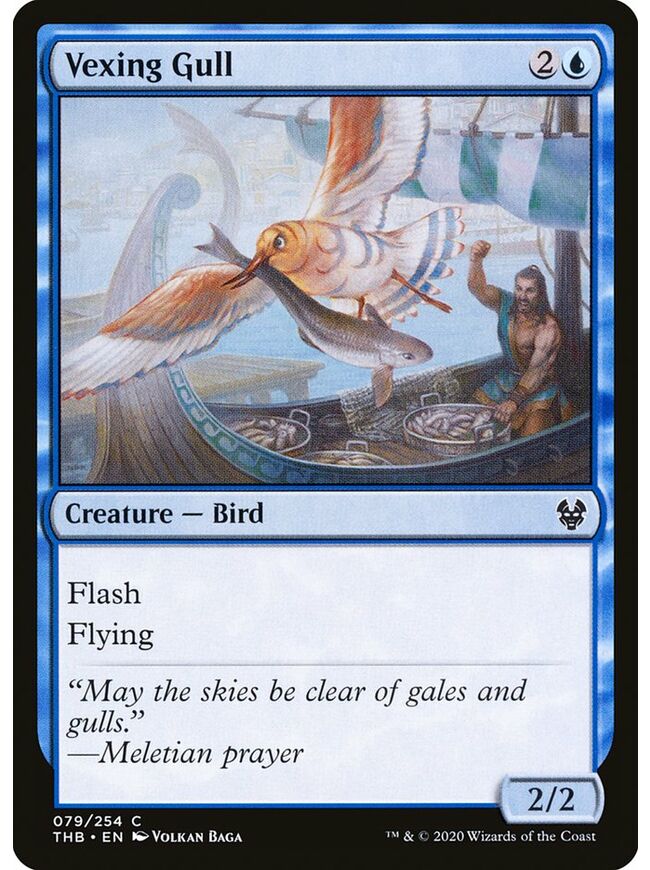 Vexing Gull