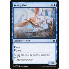 Vexing Gull