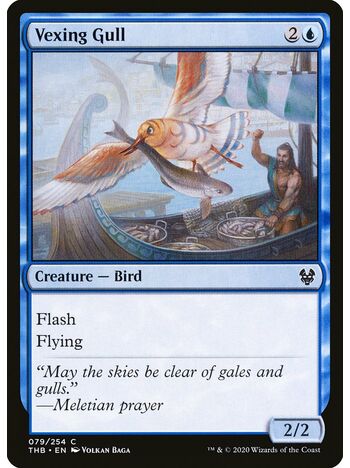 Vexing Gull