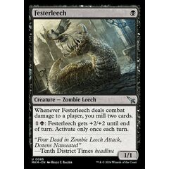 Festerleech