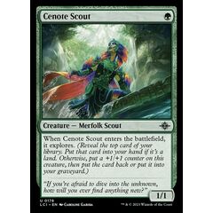 Cenote Scout