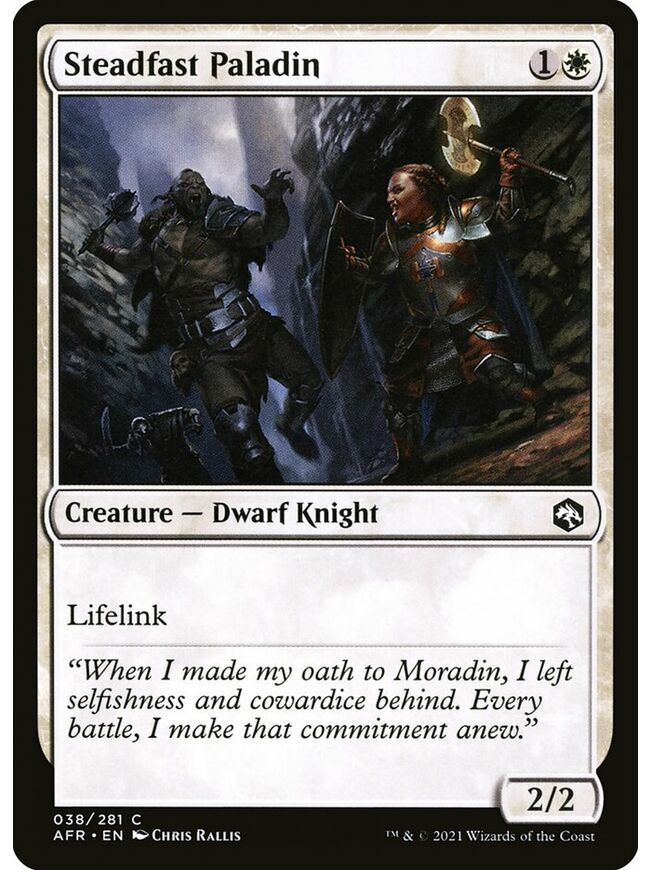 Steadfast Paladin