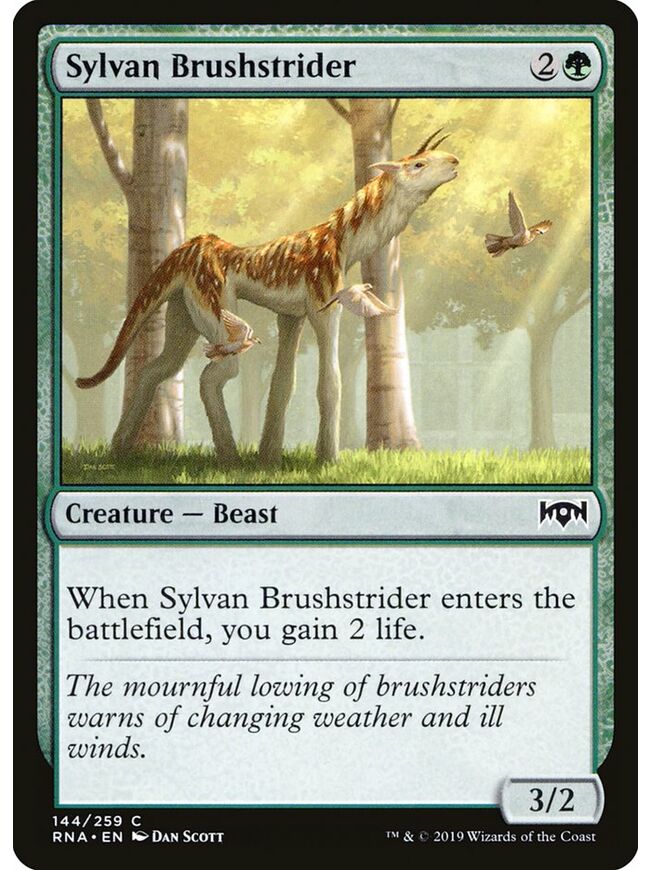 Sylvan Brushstrider