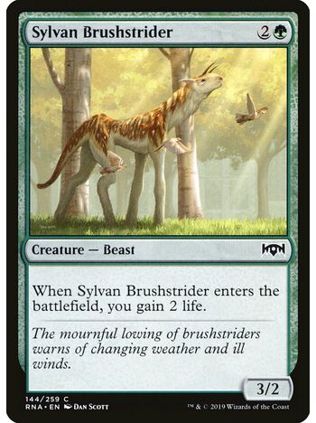 Sylvan Brushstrider