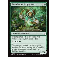 Greenhouse Propagator