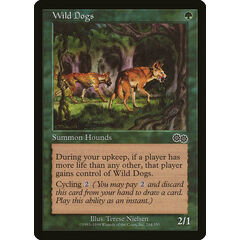 Wild Dogs