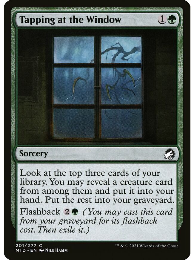 Tapping at the Window
