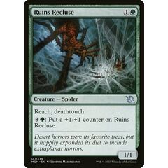 Ruins Recluse