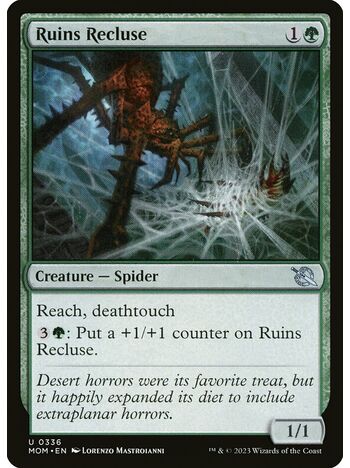 Ruins Recluse