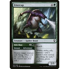 Ettercap // Web Shot