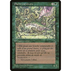 Carnivorous Plant