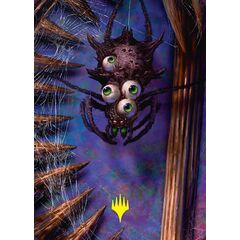 Spider // Spider (Art Series)