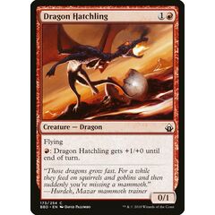 Dragon Hatchling