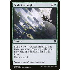 Scale the Heights
