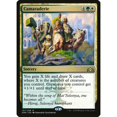 Camaraderie