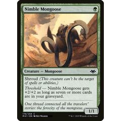 Nimble Mongoose