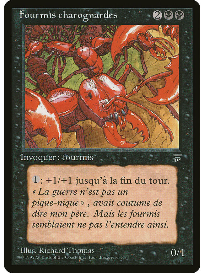 Carrion Ants