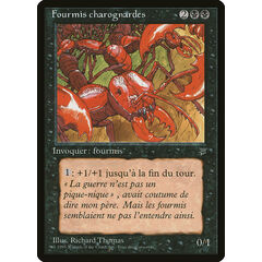 Carrion Ants