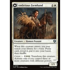 Ambitious Farmhand // Seasoned Cathar