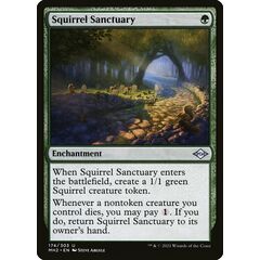 Squirrel Sanctuary