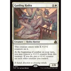 Guiding Hydra