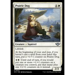 Prairie Dog