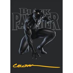 Black Panther, Hope Enduring // Black Panther, Hope Enduring (Art Series)