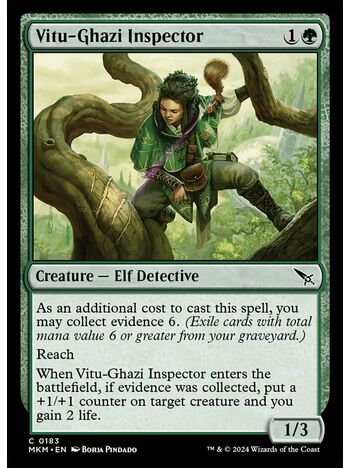 Vitu-Ghazi Inspector