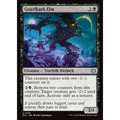 Gnarlbark Elm