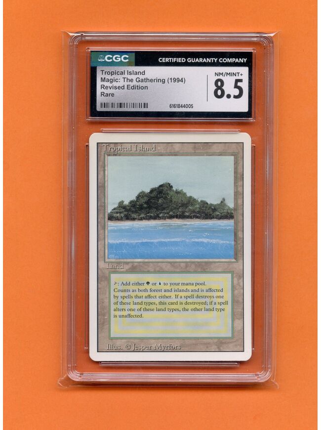 Tropical Island