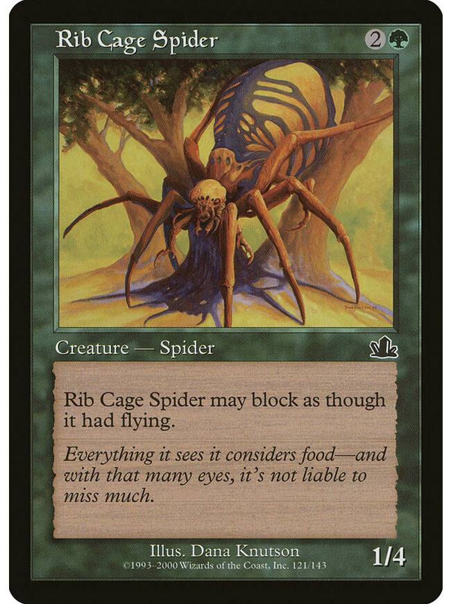 Rib Cage Spider
