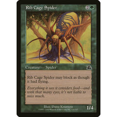 Rib Cage Spider