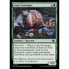 Coati Scavenger