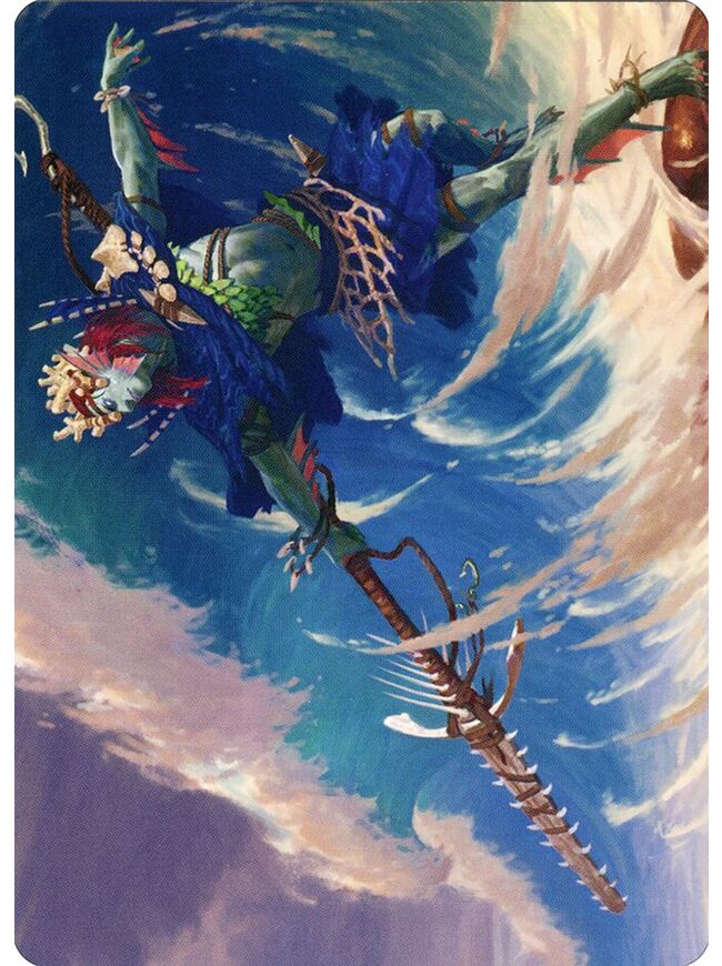Tazeem Roilmage // Tazeem Roilmage (Art Series)