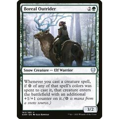 Boreal Outrider