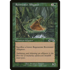 Rootwater Alligator