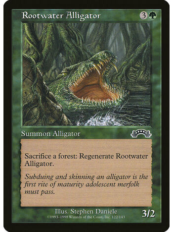 Rootwater Alligator