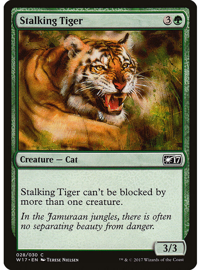 Stalking Tiger