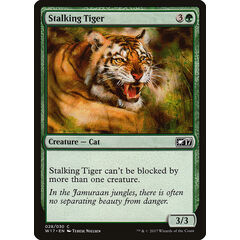 Stalking Tiger