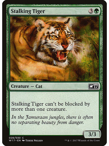 Stalking Tiger