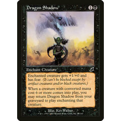 Dragon Shadow