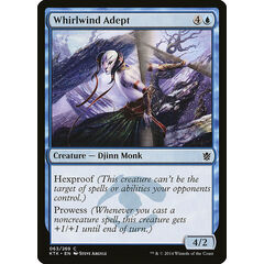 Whirlwind Adept