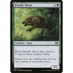 Brindle Shoat