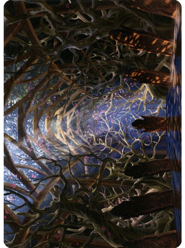 Skemfar Elderhall // Skemfar Elderhall (Art Series)