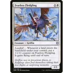 Fearless Fledgling