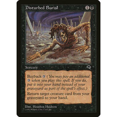 Disturbed Burial