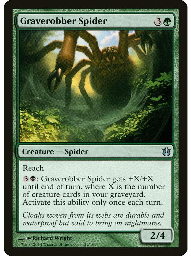 Graverobber Spider