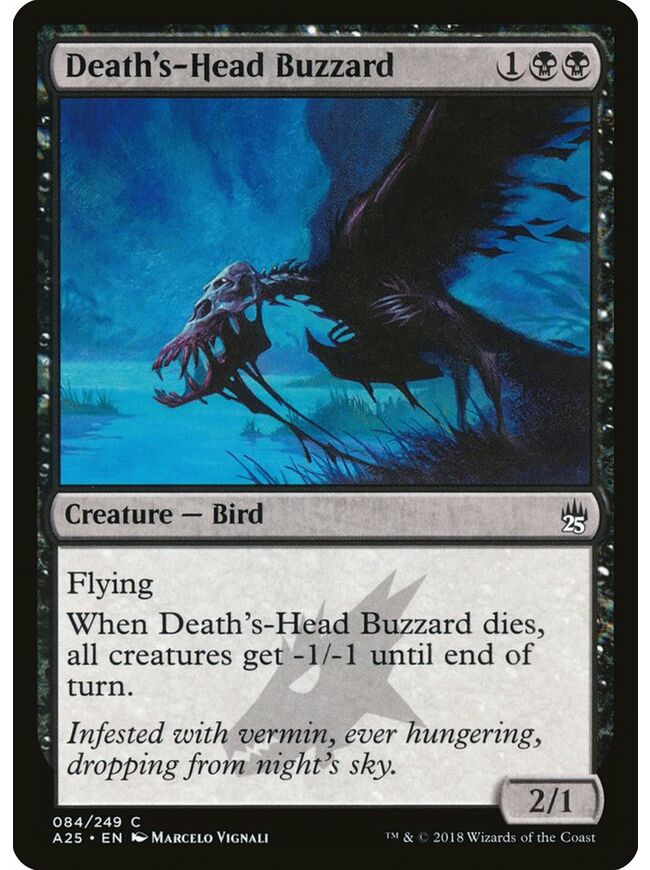 Death's-Head Buzzard