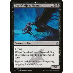 Death's-Head Buzzard